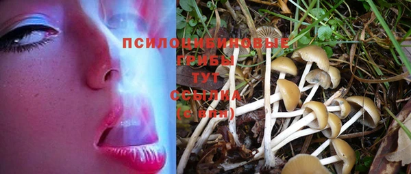 круглые Армянск