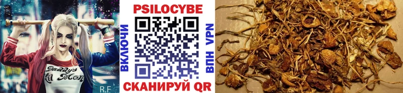 Псилоцибиновые грибы MAGIC MUSHROOMS Любань